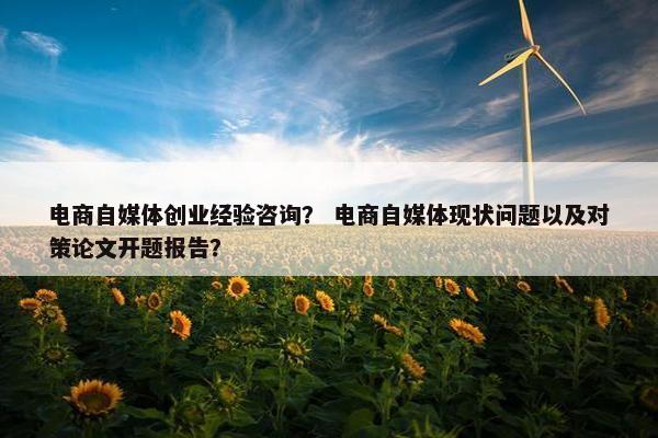 电商自媒体创业经验咨询？ 电商自媒体现状问题以及对策论文开题报告？