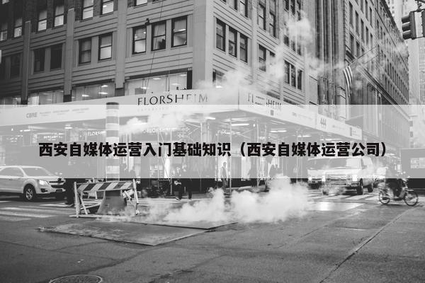 西安自媒体运营入门基础知识（西安自媒体运营公司）