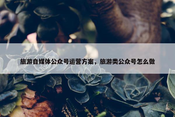 旅游自媒体公众号运营方案，旅游类公众号怎么做