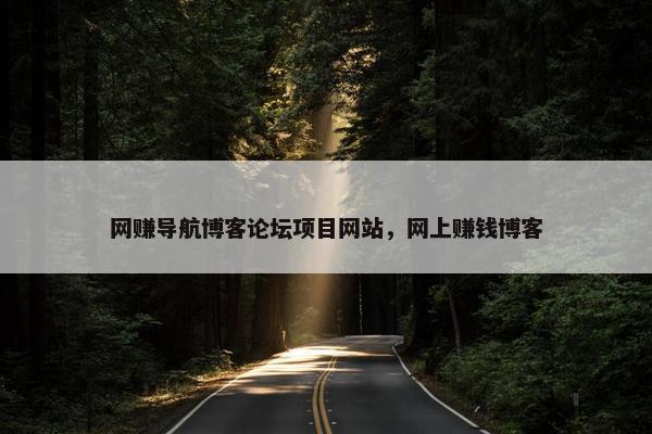 网赚导航博客论坛项目网站，网上赚钱博客
