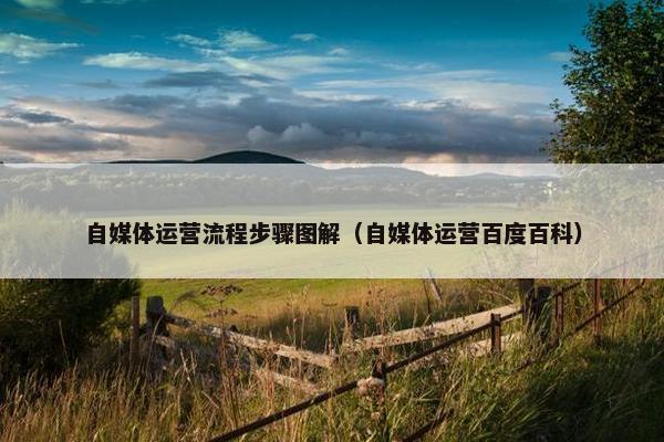 自媒体运营流程步骤图解（自媒体运营百度百科）
