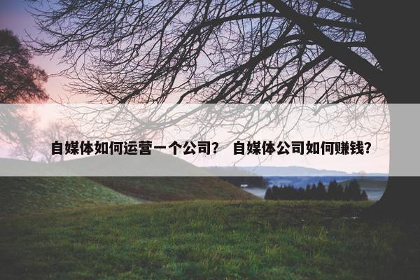 自媒体如何运营一个公司？ 自媒体公司如何赚钱？