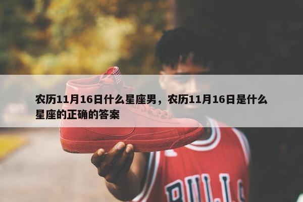 农历11月16日什么星座男，农历11月16日是什么星座的正确的答案