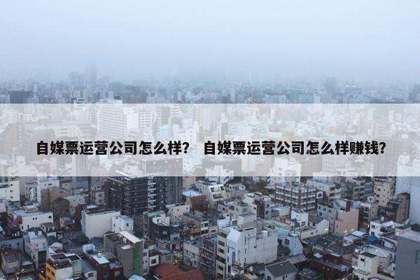 自媒票运营公司怎么样？ 自媒票运营公司怎么样赚钱？