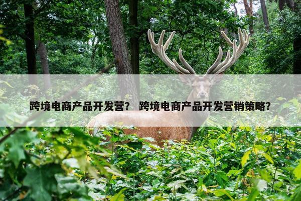 跨境电商产品开发营？ 跨境电商产品开发营销策略？