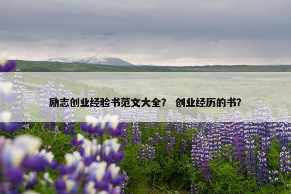 励志创业经验书范文大全？ 创业经历的书？