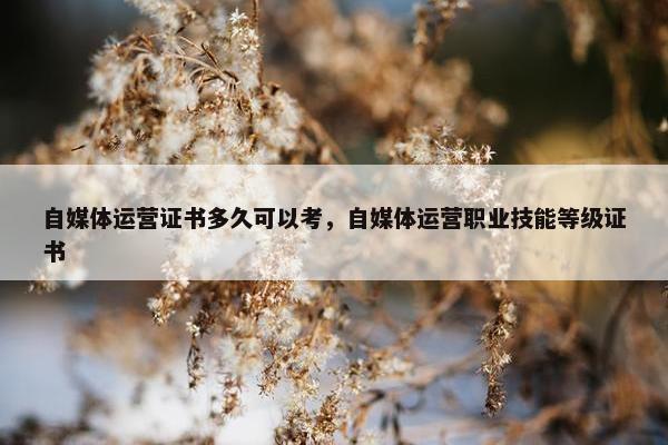 自媒体运营证书多久可以考，自媒体运营职业技能等级证书