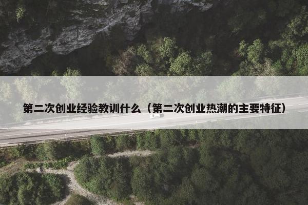 第二次创业经验教训什么（第二次创业热潮的主要特征）