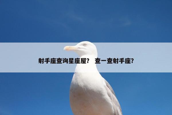射手座查询星座屋？ 查一查射手座？