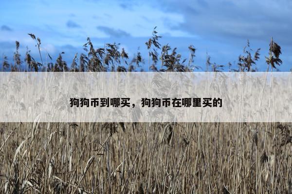 狗狗币到哪买，狗狗币在哪里买的