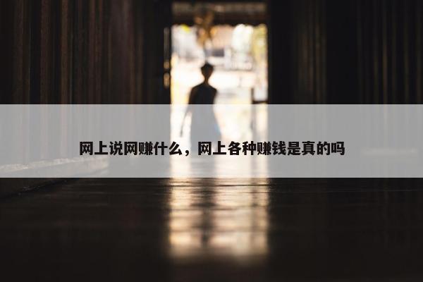 网上说网赚什么，网上各种赚钱是真的吗