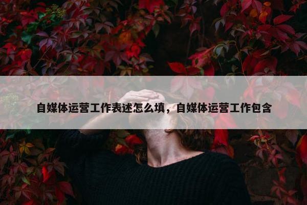 自媒体运营工作表述怎么填，自媒体运营工作包含