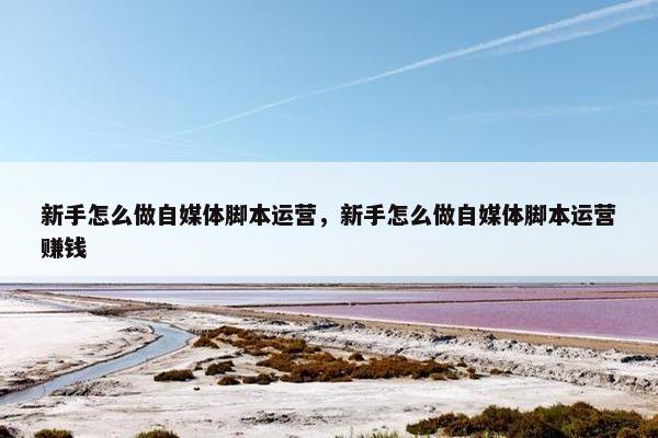 新手怎么做自媒体脚本运营，新手怎么做自媒体脚本运营赚钱