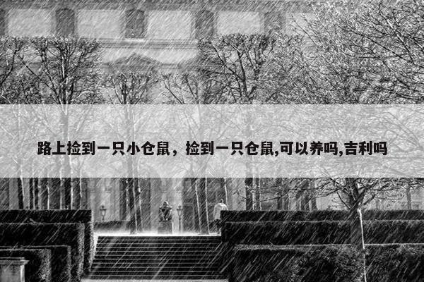 路上捡到一只小仓鼠，捡到一只仓鼠,可以养吗,吉利吗