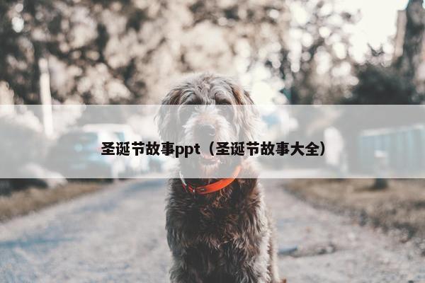 圣诞节故事ppt（圣诞节故事大全）