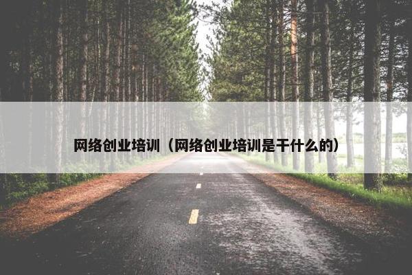 网络创业培训（网络创业培训是干什么的）