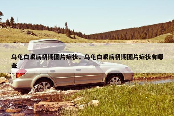 乌龟白眼病初期图片症状，乌龟白眼病初期图片症状有哪些