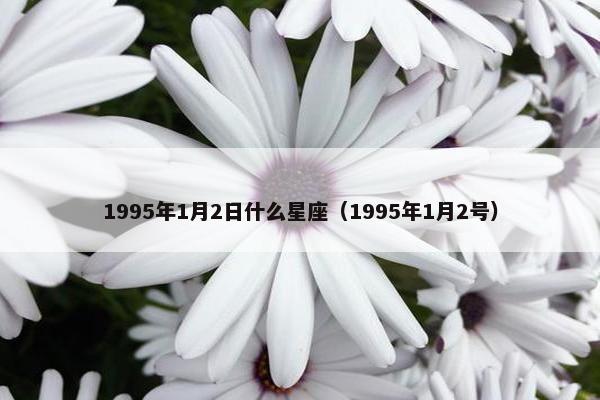 1995年1月2日什么星座（1995年1月2号）