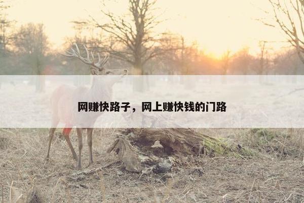 网赚快路子，网上赚快钱的门路