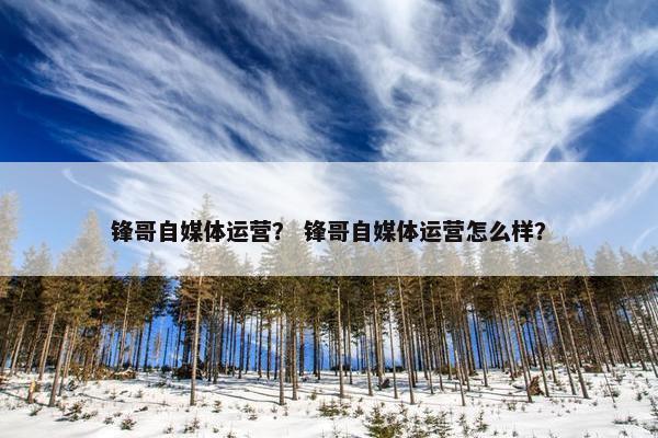 锋哥自媒体运营？ 锋哥自媒体运营怎么样？