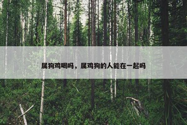属狗鸡喝吗，属鸡狗的人能在一起吗