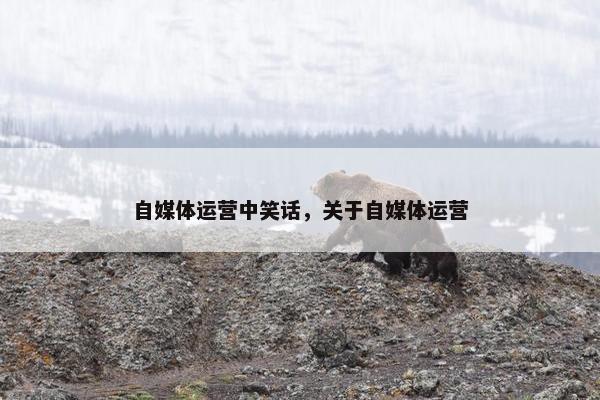 自媒体运营中笑话，关于自媒体运营