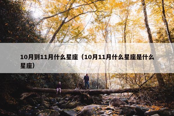 10月到11月什么星座（10月11月什么星座是什么星座）