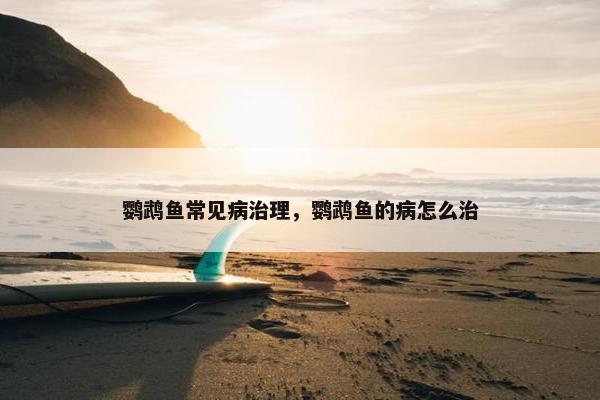 鹦鹉鱼常见病治理，鹦鹉鱼的病怎么治