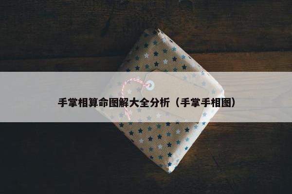 手掌相算命图解大全分析（手掌手相图）