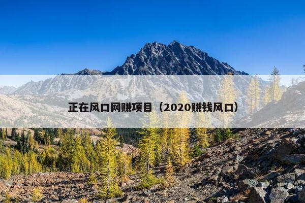 正在风口网赚项目（2020赚钱风口）