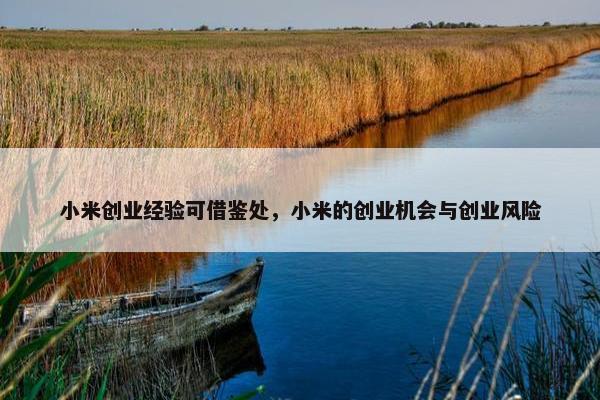 小米创业经验可借鉴处，小米的创业机会与创业风险