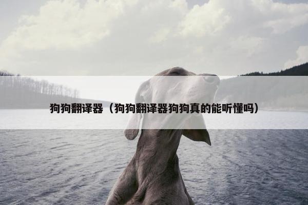 狗狗翻译器（狗狗翻译器狗狗真的能听懂吗）