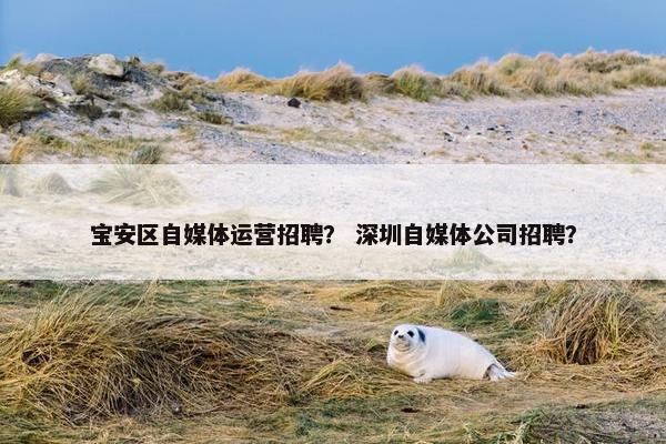 宝安区自媒体运营招聘？ 深圳自媒体公司招聘？