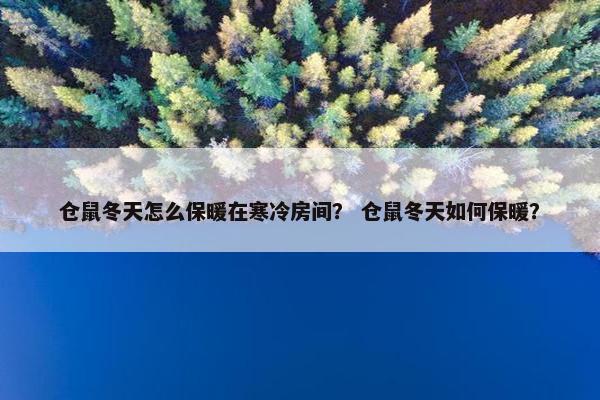 仓鼠冬天怎么保暖在寒冷房间？ 仓鼠冬天如何保暖？