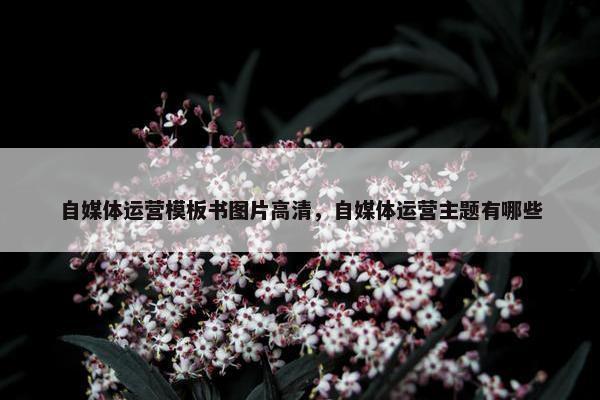 自媒体运营模板书图片高清，自媒体运营主题有哪些