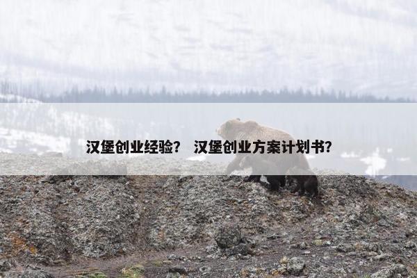汉堡创业经验？ 汉堡创业方案计划书？