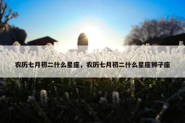 农历七月初二什么星座，农历七月初二什么星座狮子座