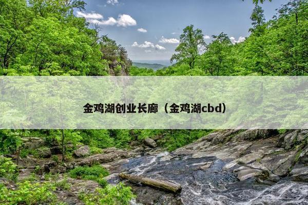金鸡湖创业长廊（金鸡湖cbd）