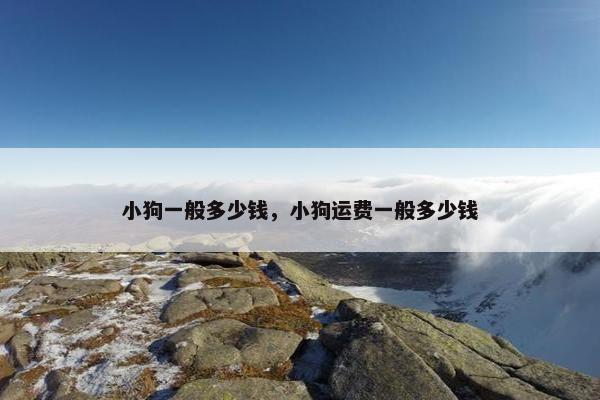 小狗一般多少钱，小狗运费一般多少钱