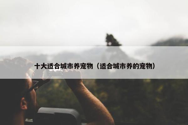 十大适合城市养宠物（适合城市养的宠物）