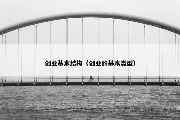 创业基本结构（创业的基本类型）