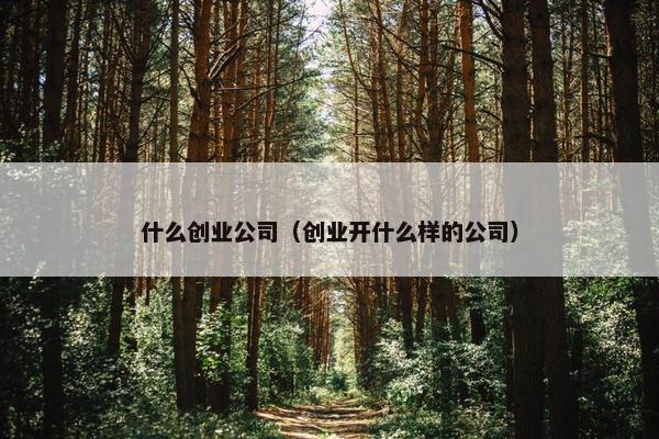 什么创业公司（创业开什么样的公司）