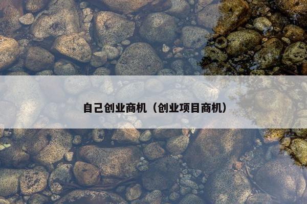 自己创业商机（创业项目商机）