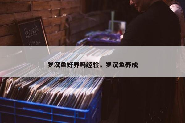 罗汉鱼好养吗经验，罗汉鱼养成