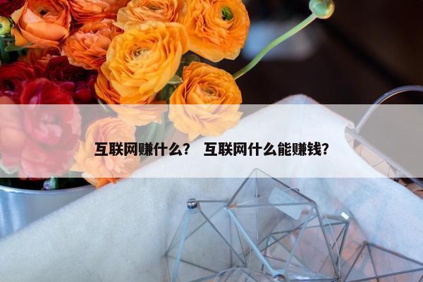 互联网赚什么？ 互联网什么能赚钱？