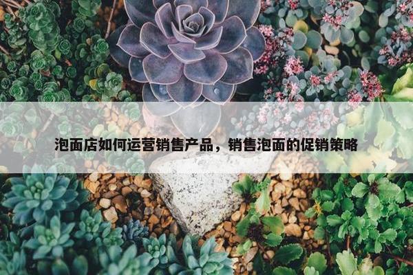 泡面店如何运营销售产品，销售泡面的促销策略