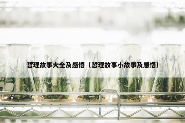 哲理故事大全及感悟（哲理故事小故事及感悟）