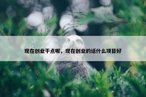 现在创业干点呢，现在创业的话什么项目好