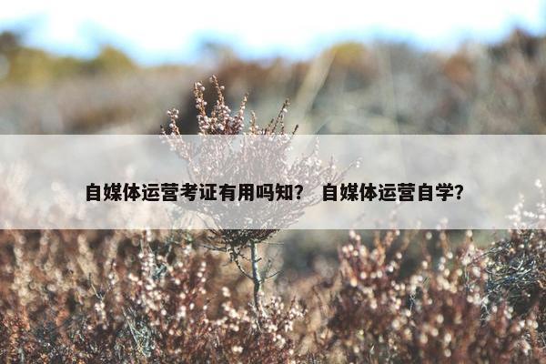自媒体运营考证有用吗知？ 自媒体运营自学？