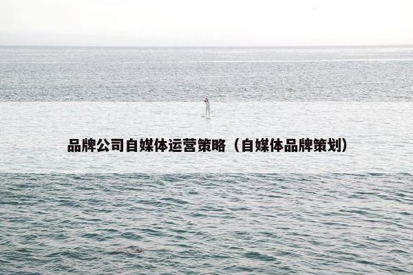 品牌公司自媒体运营策略（自媒体品牌策划）